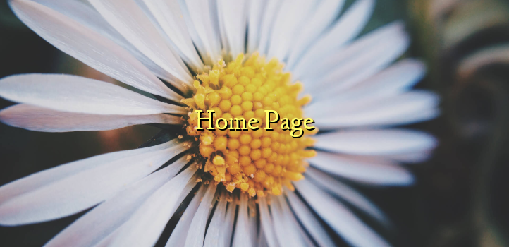 Home Page